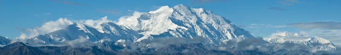 Alaska Cruises