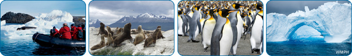 Antarctica Cruises