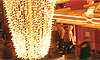 10 Nt Christmas Wonderland