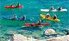 7 Nt Whales & Wildlife (Sea of Cortez)