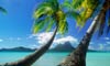 18 Nt Legends of the Pacific