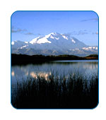 CruiseCheap.com Alaska Cruise and Land Tours.