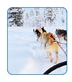 CruiseCheap.com Alaska FAQs.