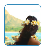 CruiseCheap.com cruises to Hawaii.