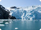 Cheap Cruises