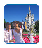 CruiseCheap.com's Top 10 Honeymoon Cruises - #9: Disney Wonder