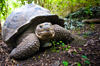 Galapagos Islands Cruises on Celebrity