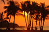 Hawaii Cruises on Holland America