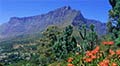 Africa Cruises on Voyages of Discovery