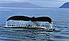 12 Nt Alaska's Inside Passage & Denali