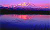 12 Nt Escorted Glacier Discovery & Double Denali