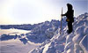 13 Nt Escorted Glacier Discovery, Denali & Arctic Ocean