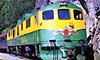 12 Nt Escorted Klondike, Denali & Sawyer Glaciers