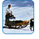 CruiseCheap.com's Alaska Shore Excursions.