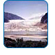 CruiseCheap.com's Alaska Shore Excursions.