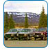 CruiseCheap.com's Alaska Shore Excursions.